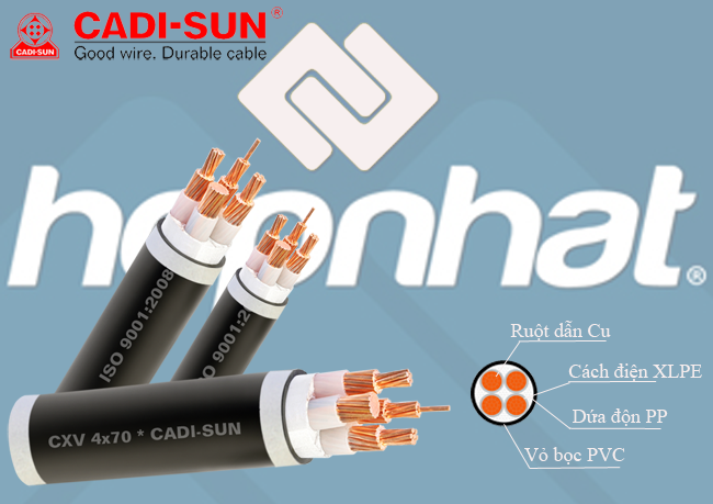 Cáp đồng 4 ruột bọc cách điện XLPE/PVC_CXV 4x10, Cáp đồng 4 ruột cadisun 4x10